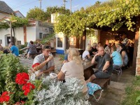 22.03.2025 – HUSTOPEČE – SLAVNOSTI MANDLONÍ (jednodenní zájezd)