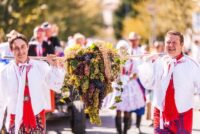 13.9.2025 – Pálavské vinobraní v Mikulově (jednodenní zájezd)